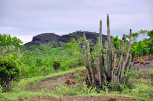 Reserva Ecológica Hatibonico. Guantánamo